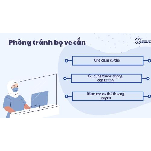 3. Phòng tránh bọ ve cắn